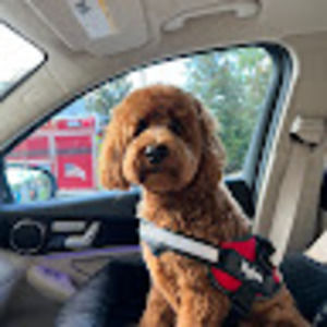 Meet your Posher, Jody